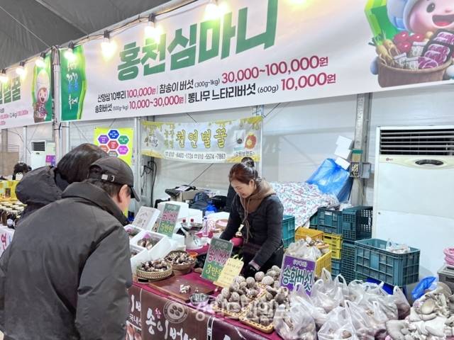 ▲ 제14회 홍천강 꽁꽁축제 방문객들이 송이버섯을 시식하며 구경하고 있다. 박지윤 기자
