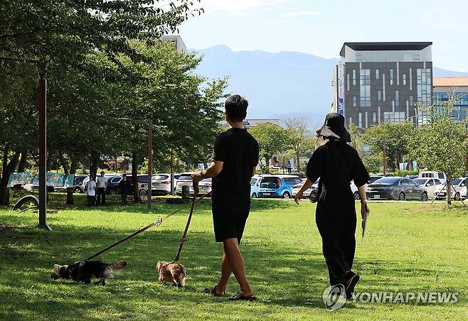 댕댕이와의 산책 지난해 9월 12일 오전 제주시 도남동 시민복지타운에서 열린 제주 반려동물 문화산업 한마당에서 견주와 반려견들이 잔디밭을 산책하고 있다. [연합뉴스 자료사진]
