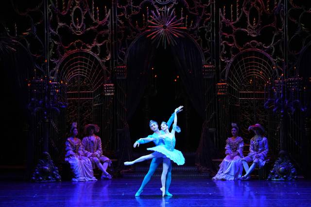 유니버설발레단