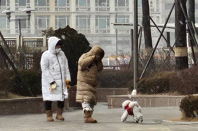 Residents in Goyang, Gyeonggi, walk a dog and react to strong winds on Jan. 10. [YONHAP]