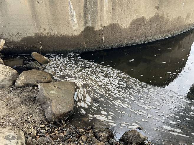 물고기떼 기현상이 발생한 한빛대교 한 교각 아래. 물고기 방생 후 알 수 없는 이물질이 가득하다.&nbsp;이현제 기자
