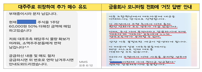 [금융감독원 제공]