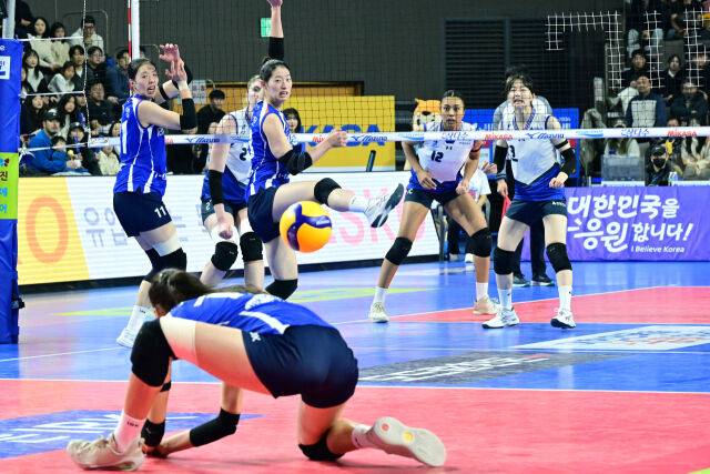 빅토리아가 현대건설 카리의 공격을 안정적으로 받고 있다. / 한국배구연맹(KOVO)