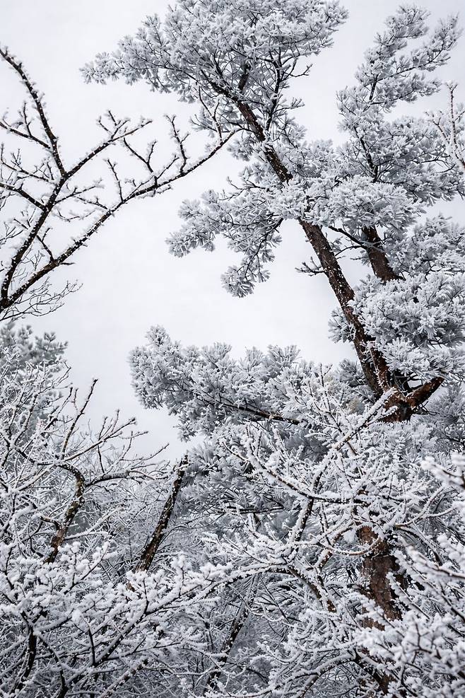 경북여행 MVTI 1월호 관련사진