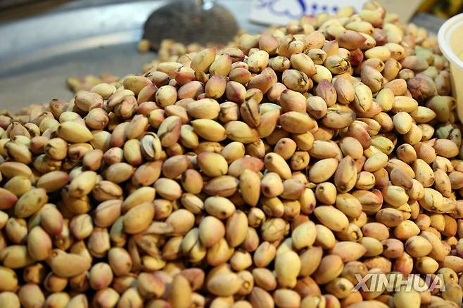 피스타치오 [신화=연합뉴스 자료사진]