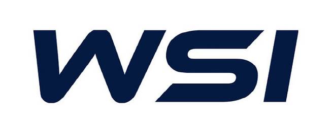 (사진=더블유에스아이)