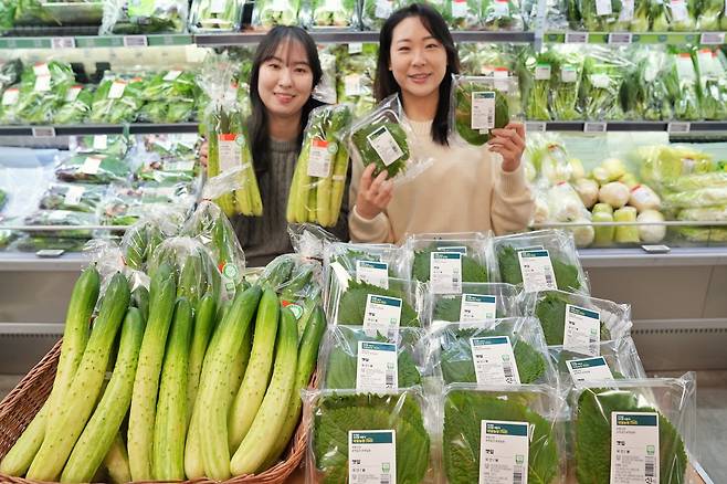 롯데마트 스마트팜 채소(롯데마트 제공)