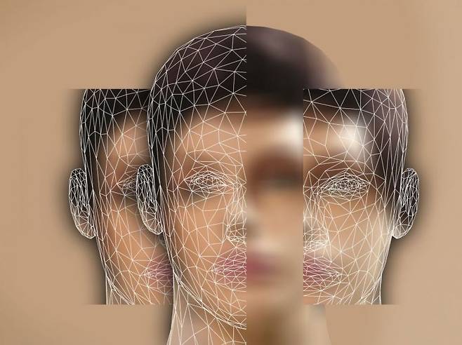 미국 대형 유통업체들이 매장 내 절도 방지를 명분으로 얼굴인식 기술을 도입하면서 사생활 침해 논란이 일고 있다. 사진은 기사의 특정 내용과 관련 없음. 픽사베이