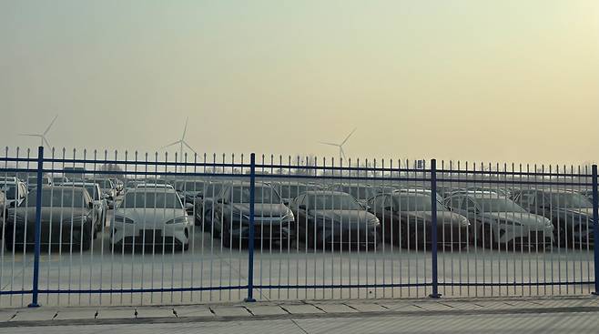 10일 오후 정저우 국제육로항 서작업구역의 BYD 전용 구역에 인근 공장에서 제조된 BYD 전기차가 유럽행 화물열차 운송을 대기 중이다. /정저우(중국)=이은영 특파원