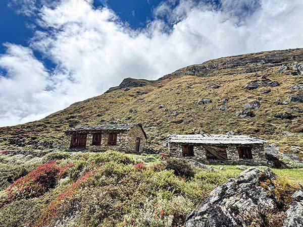 수목한계선 부근, 울긋불긋 옷을 입은 누운 나무들이 풍경을 더욱 아름답게 채색한다.