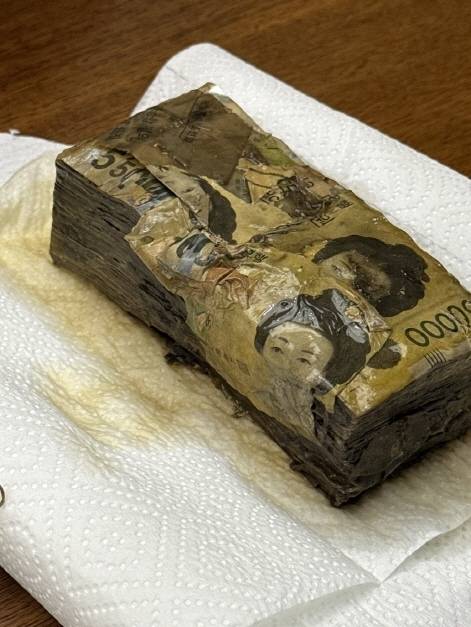 지난해 한국은행이 교환해준 손상화폐. 한국은행 제공