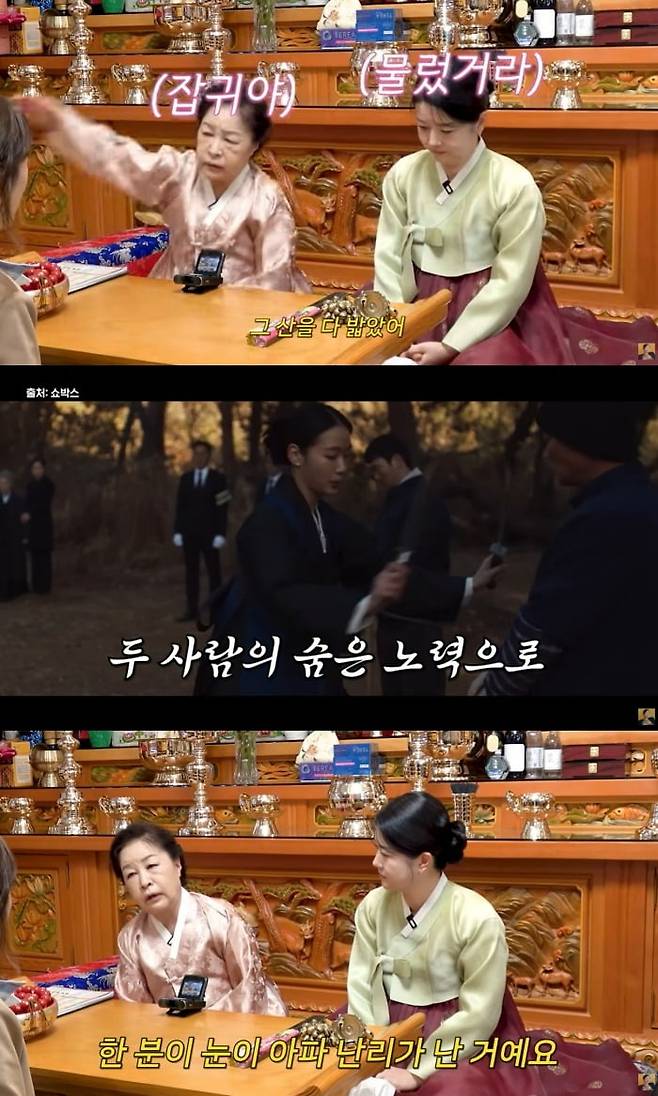 사진 = 유튜브 채널 'A급 장영란'