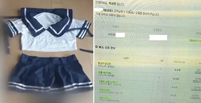 불륜 의혹 고3 제자의 정액 등 DNA가 검출된 것으로 알려진 류중일 감독 전 며느리의 구매한 코스프레 복장과 구매내역. 출처=유튜브 감자깡숏, 보배드림