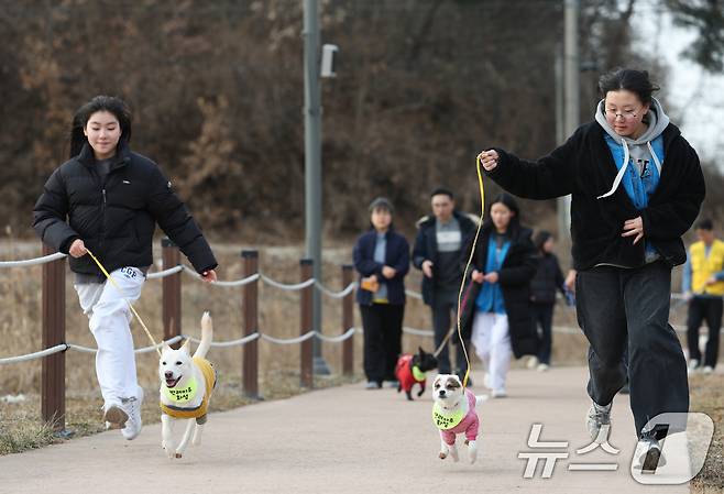 14일 경기 화성시 마도면 반려마루 화성에서 청소년 자원봉사자들이 방학을 맞아 보호동물과 교감활동을 하고 있다.  2026.1.14/뉴스1 ⓒ News1 김영운 기자