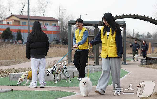 14일 경기 화성시 마도면 반려마루 화성에서 청소년 자원봉사자들이 방학을 맞아 보호동물과 교감활동을 하고 있다. 2026.1.14/뉴스1 ⓒ News1 김영운 기자