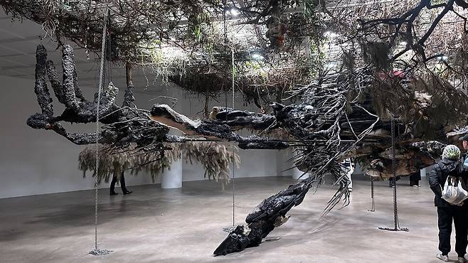 2026년 1월 서울 소격동 아트선재센터. 아무것도 쓰지 않았던 날, 전시 ‘아드리안 비야르 로하스: 적군의 언어’를 보았습니다. 쓰고 싶지 않은 날 가보시길 권합니다. 수많은 말을 마음에 담아 돌아올 수 있을 것입니다. 박은지 제공