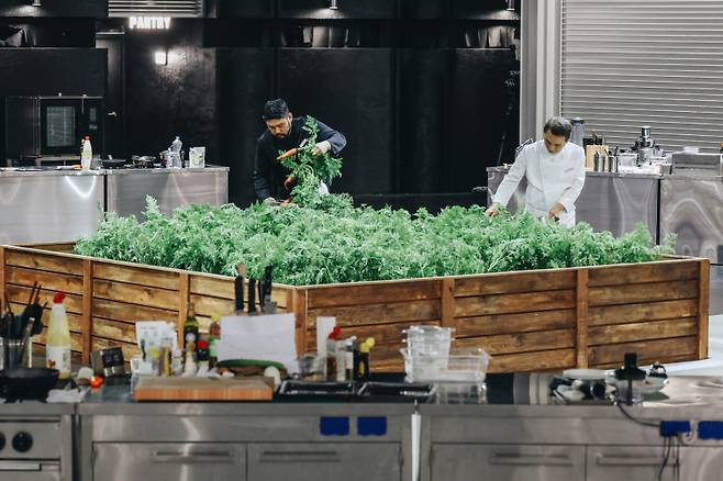 사진제공=넷플릭스