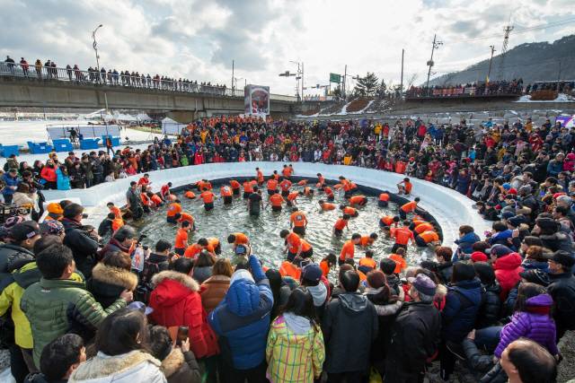 ▲ 화천산천어축제의 백미, 산천어 맨손잡기