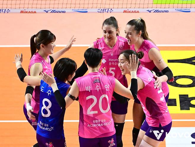 [서울=뉴시스] 여자 프로배구 흥국생명. (사진=KOVO 제공). 2026.01.14. *재판매 및 DB 금지