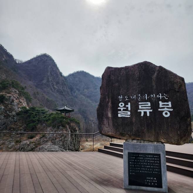 달도 머물다가는 곳 월류봉