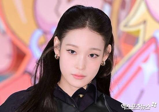애니