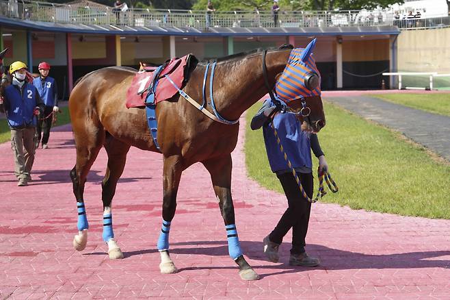 아이엠짱. 사진제공=한국마사회