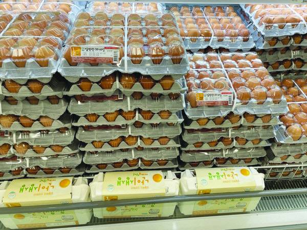 매장에 진열된 계란.