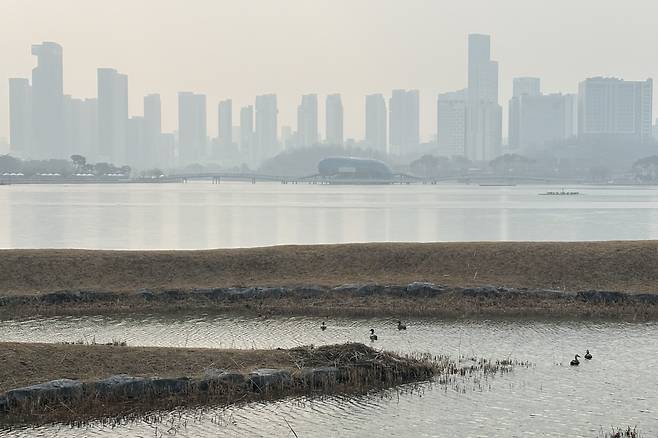 Apartment complexes across a lake in Sejong are seen behind a fog as fine dust levels rose on Jan. 15. [YONHAP]