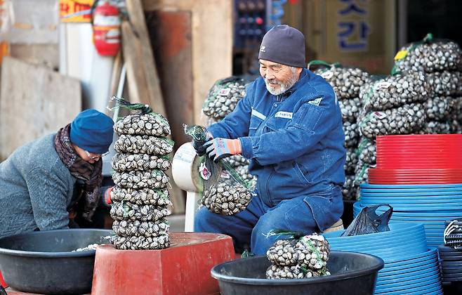벌교시장의 ‘털보꼬막수산’ 주인장이 꼬막을 자루에 담고 있다. 새꼬막 한 자루에 ‘굵은 놈’은 3만 원, ‘잔 놈’은 2만 원을 받았다.