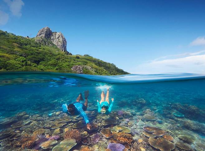 피지에서의 청량한 다이빙