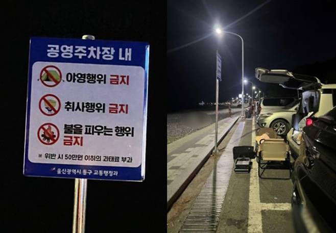 야영·취사·불 피우기 금지 안내판 앞 무단 캠핑 [보배드림 캡처]