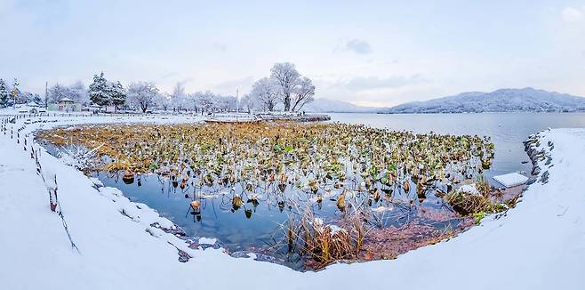 두물머리 겨울풍경. 사진=양평군