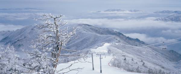 무주덕유산리조트 설천봉 슬로프 전경./사진=부영그룹