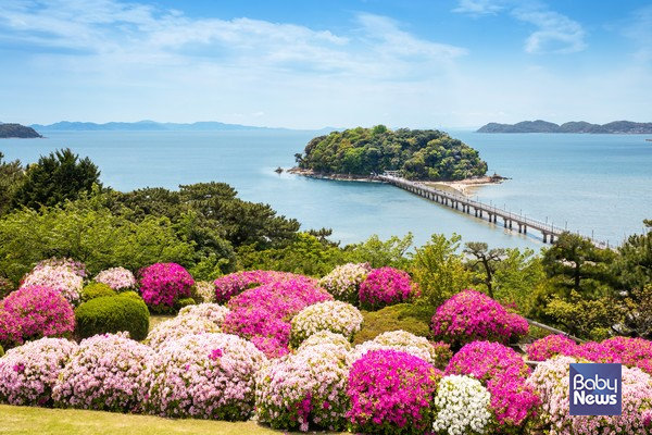 KKday에서 일본 지역별 프로모션을 진행한다. ⓒKKday