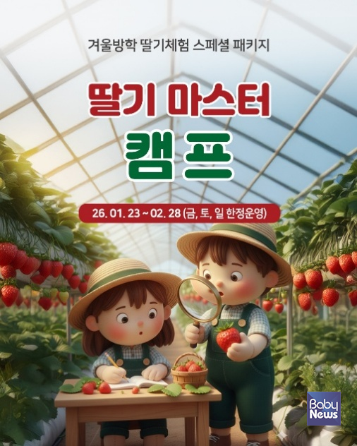 상하농원, 겨울방학 맞아 '딸기 마스터 캠프' 패키지 운영. ⓒ상하농원