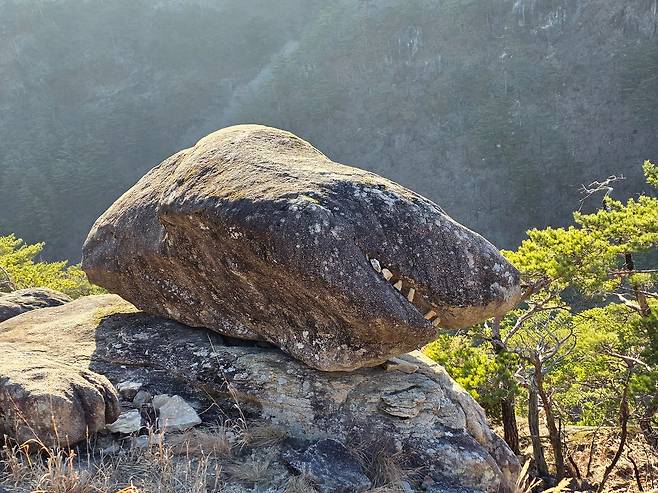 쉰움산 상어바위. 거대한 입과 무시무시한 이빨을 드러내고 있는 게 영락없이 상어를 닮았다. 정상 아래 돌탑 있는 암반에 있다.