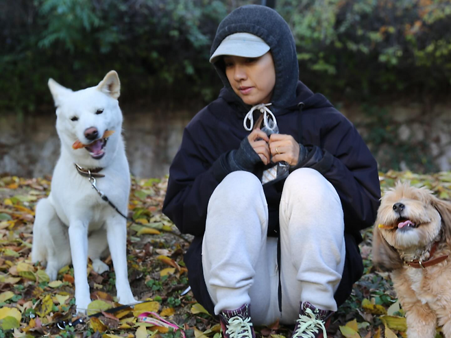 이효리·이상순, 15년 가족 구아나와 작별…“한결같이 곁을 지켜준 존재”