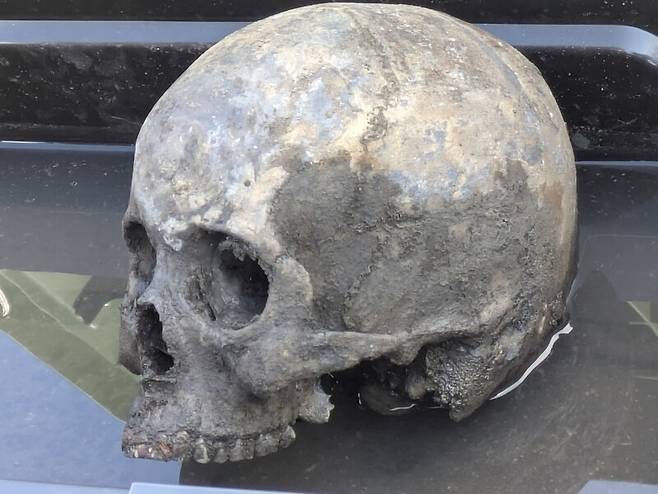 현장에서 발견된 두개골 [김경수·김수은씨 제공. 재판매 및 DB 금지]