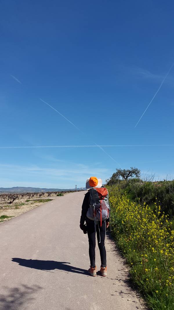 첫 번째 순례길 부르고스를 지나 온타나스로 가는 길.