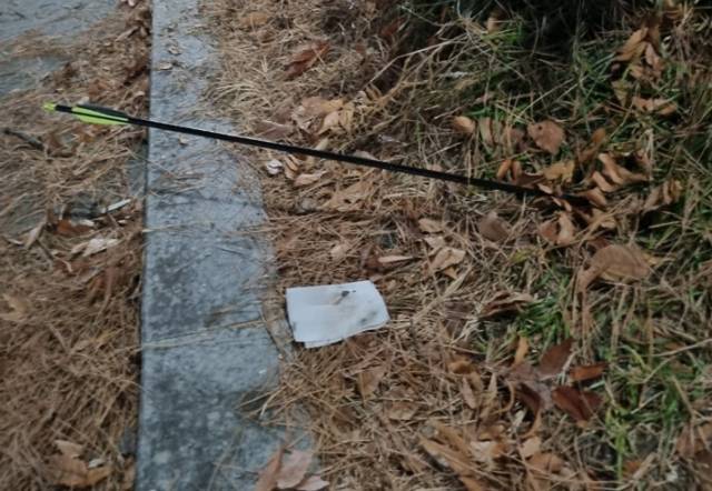 7일 자정께 청주 상당구 청소년광장에서 강아지와 함께 산책 중이던 50대 여성을 향해 날아든 화살이 땅바닥에 박혀 있는 모습. 연합뉴스