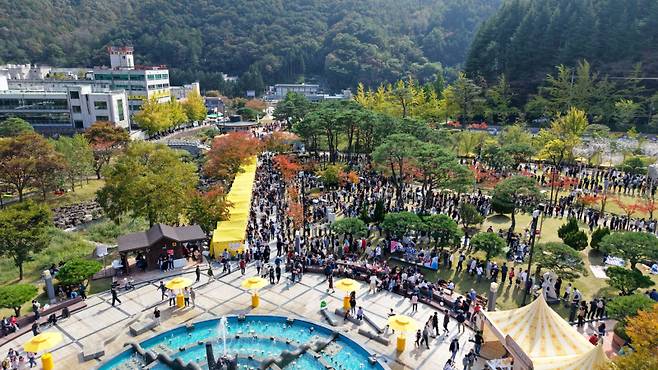김천 김밥축제 현장, 경북도 제공.&nbsp;