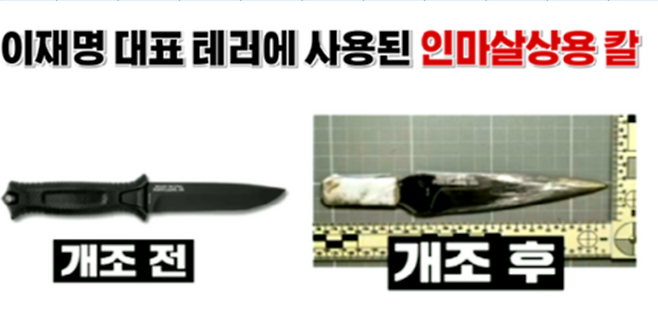 [서영교 의원실]