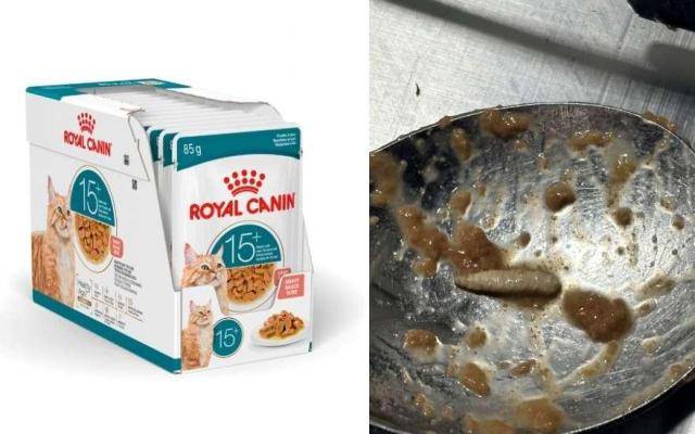 소비자A씨가 구매한 '로얄캐닌 캣 에이징 15+ 파우치 그레이비' 제품에서 나온 이물질 [사진=인터넷 커뮤니티]