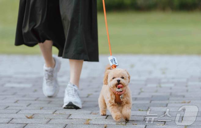 반려동물 동반 문화 나들이 (ACC 제공. 재판매 및 DB금지) /뉴스1 2025.5.29/뉴스1 ⓒ News1 김태성 기자