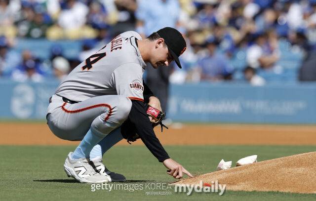 션 젤리./게티이미지코리아