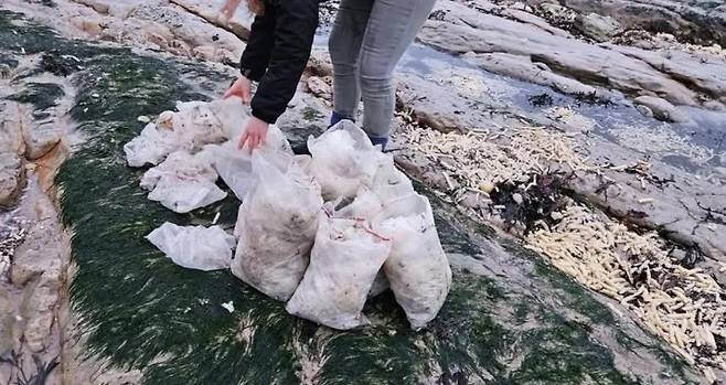 해변에 떠밀려온 비닐봉지를 수거한 자원봉사자들 [페이스북 '조엘 보니치' 캡처]