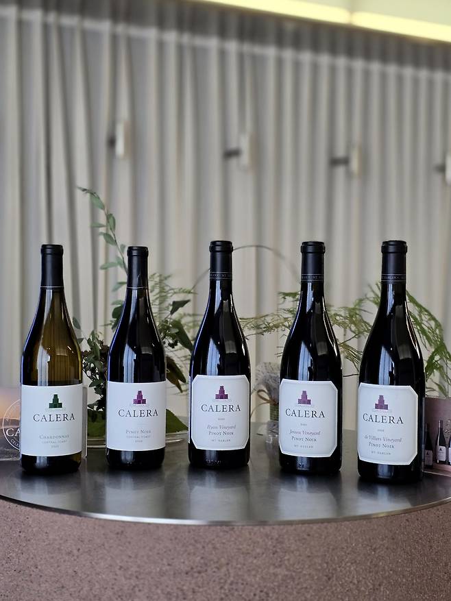칼레라 와인. 최현태 기자