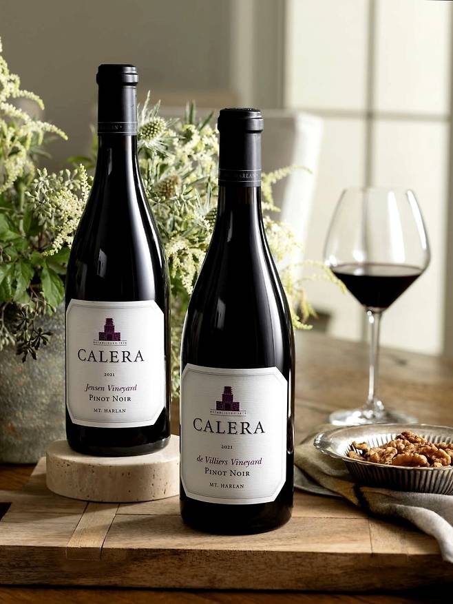 칼레라 드 빌리어스와 젠슨. 인스타그램