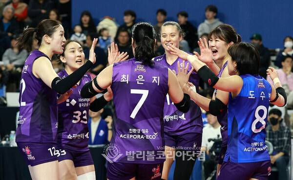 18일 흥국생명 선수들이 공격을 성공시키고 기뻐하고 있다.2026.1.18.
