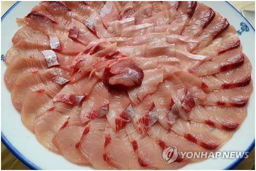 방어회 [연합뉴스 자료 사진]